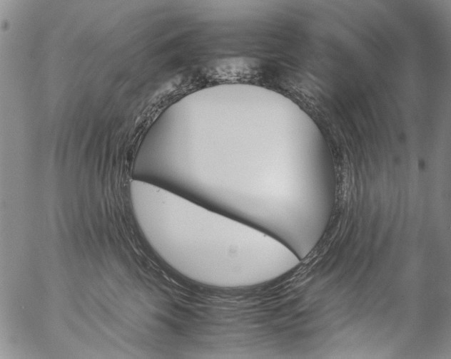 X0000057060569200509090820