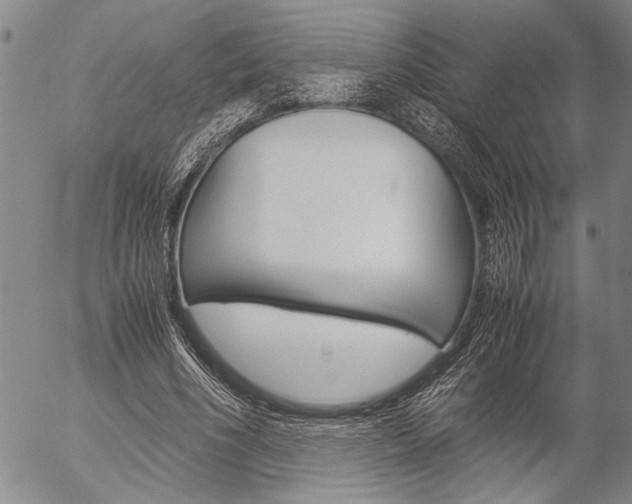 X0000057060586200509090819