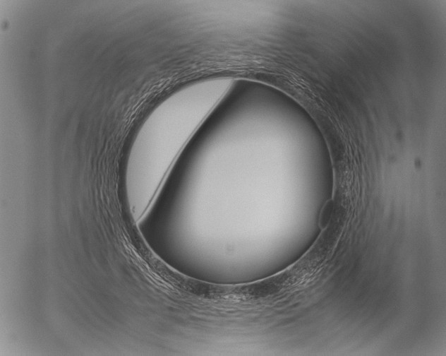 X0000057060593200509090819