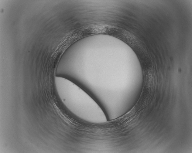 X0000057060598200509090819