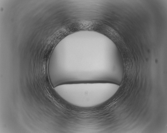 X0000057060602200509090819