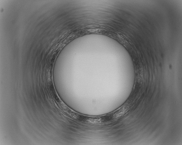 X0000057060606200509090819