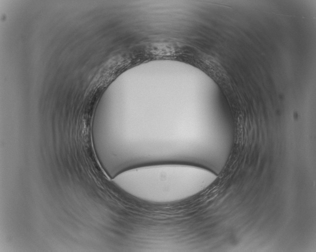 X0000057060614200509090819