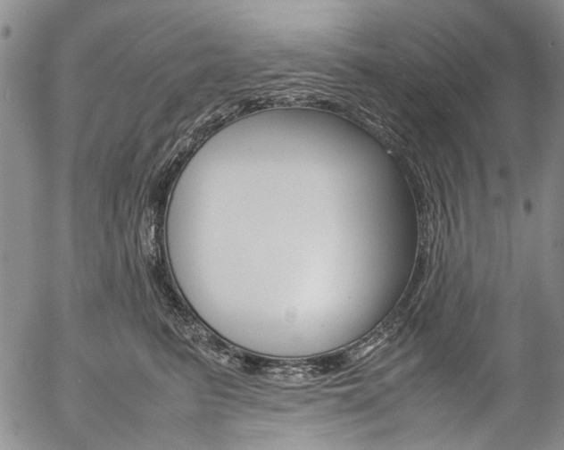 X0000057060615200509090819