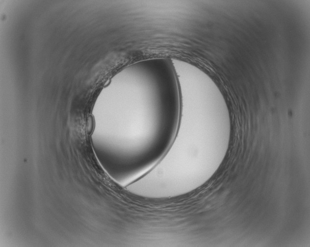 X0000057060617200509090819