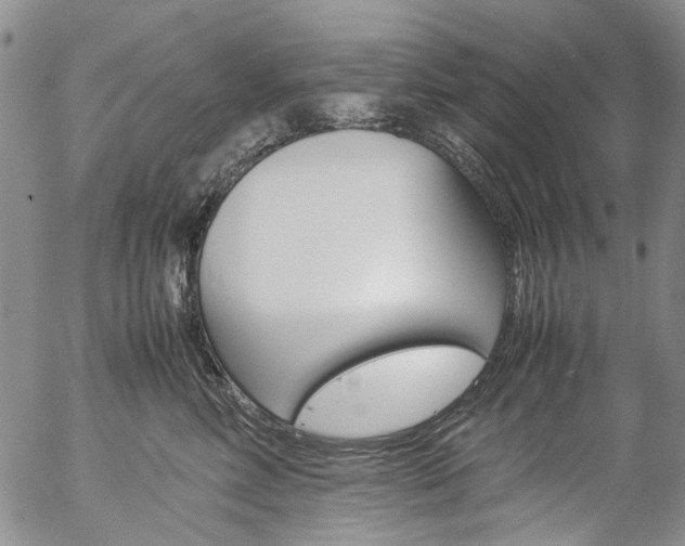 X0000057060618200509090819