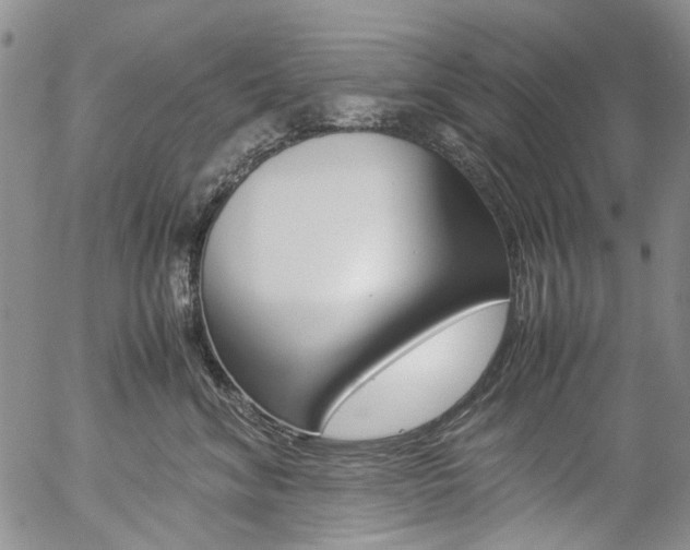 X0000057060620200509090819