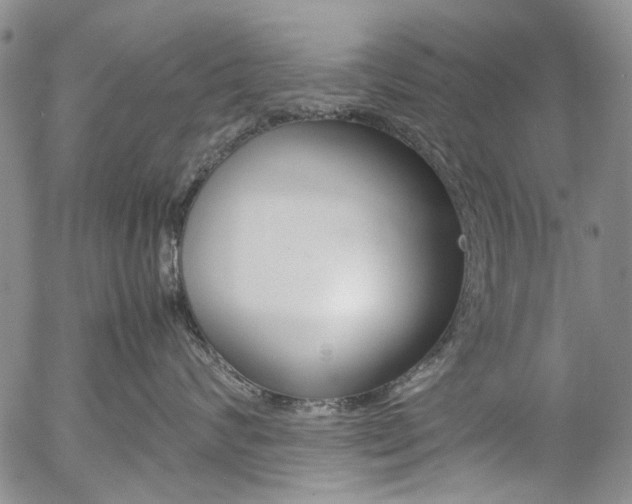 X0000057060624200509090818