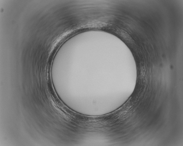 X0000057060632200509090818