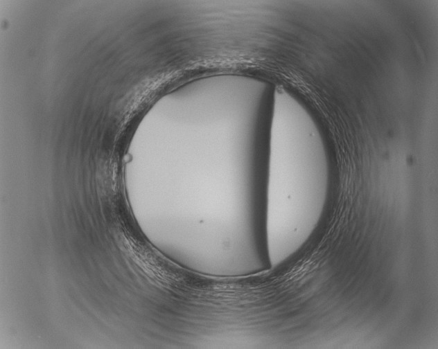 X0000057060636200509090818