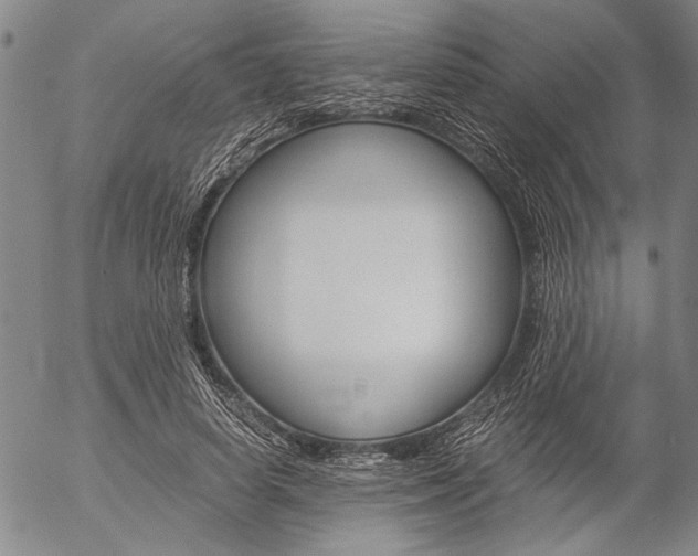 X0000057060642200509090818