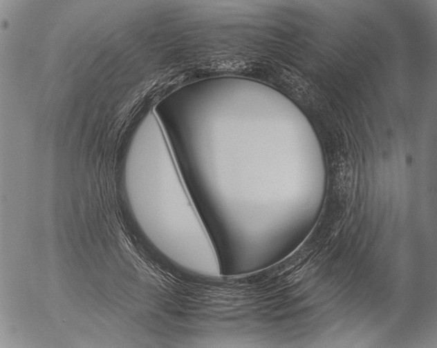 X0000057060643200509090818