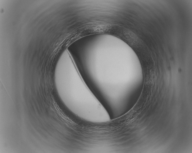 X0000057060646200509090818