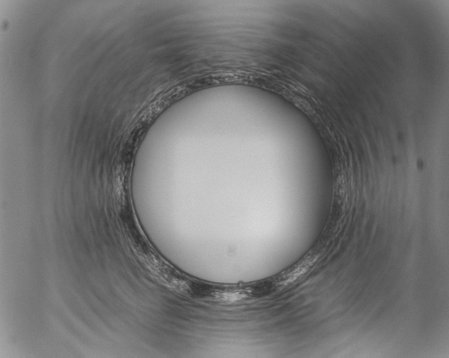 X0000057060662200509090818