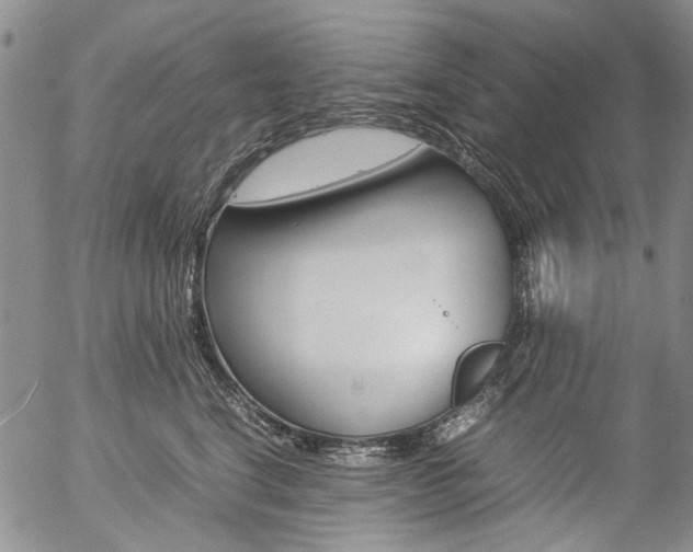 X0000057060664200509090818