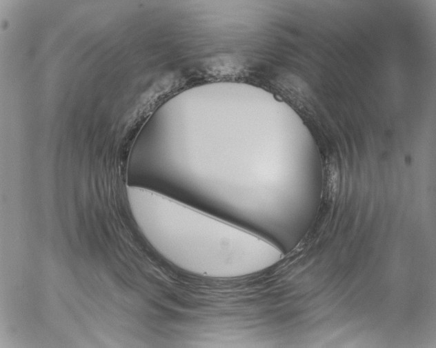 X0000057060668200509090818