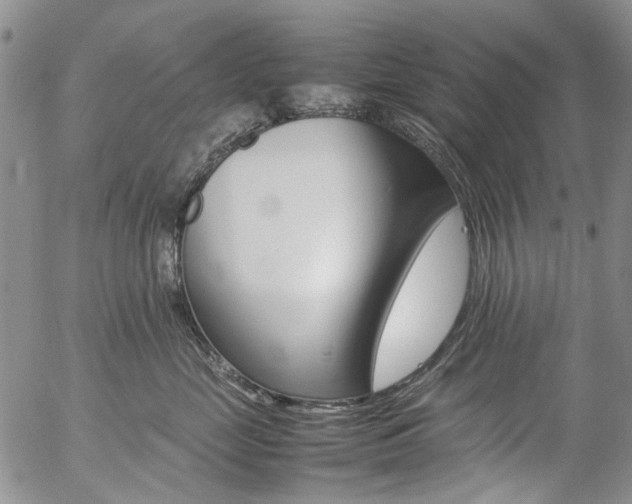 X0000057060669200509090818