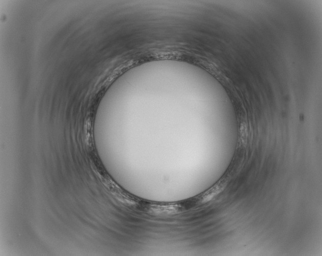 X0000057060671200509090818