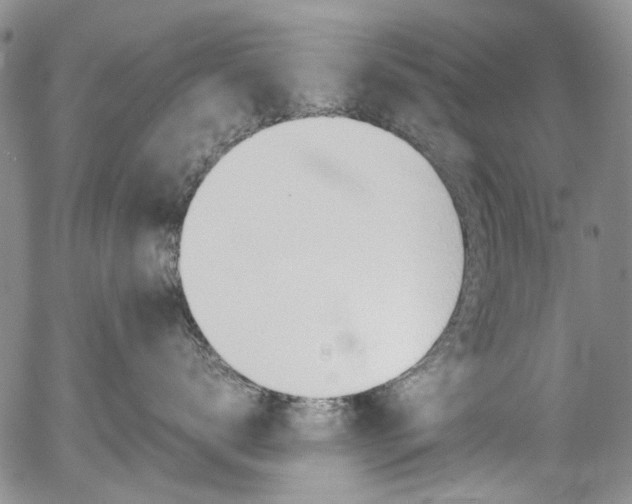 X0000057060672200509090818