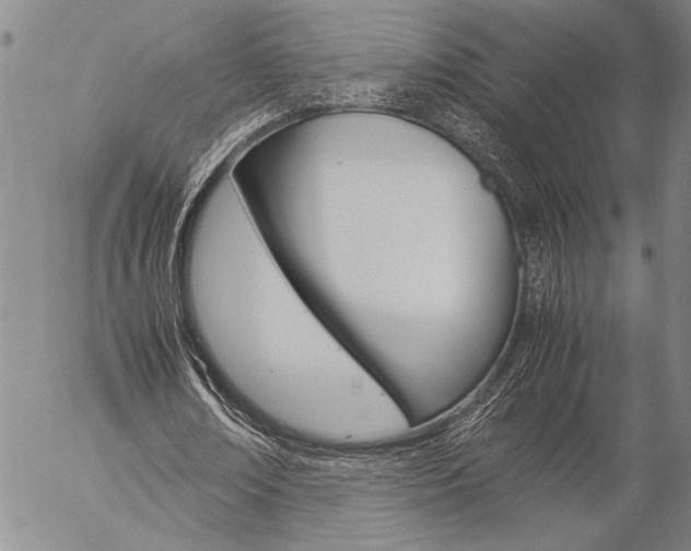 X0000057060674200509090818