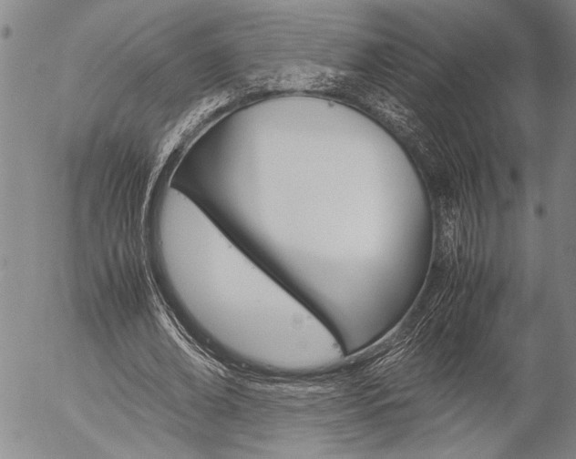 X0000057060678200509090818