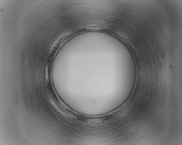 X0000057060686200509090817