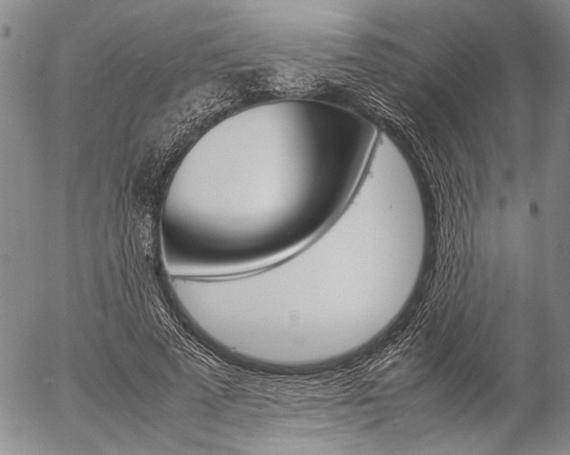 X0000057060689200509090817