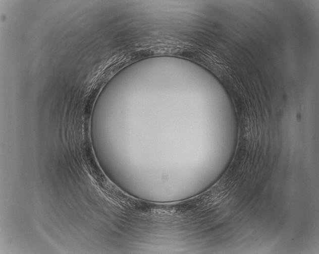 X0000057060690200509090817