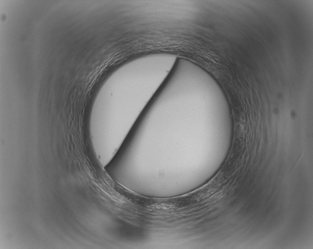 X0000057060691200509090817