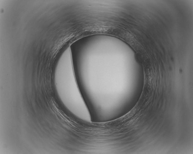 X0000057060692200509090817