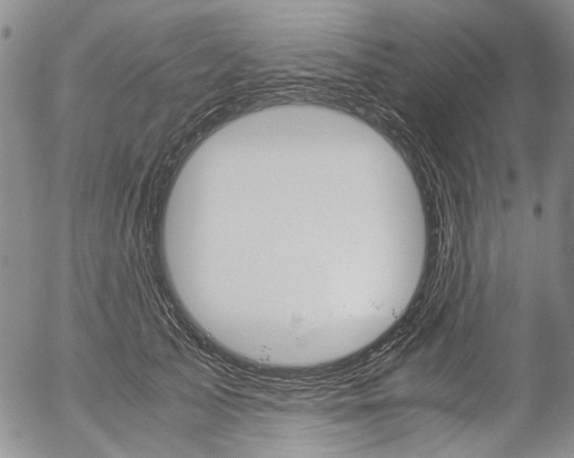 X0000057060705200509090817