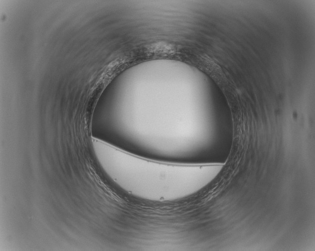 X0000057060708200509090817