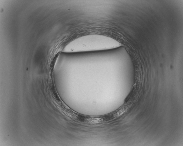 X0000057060711200509090817