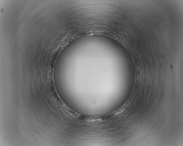 X0000057060712200509090817