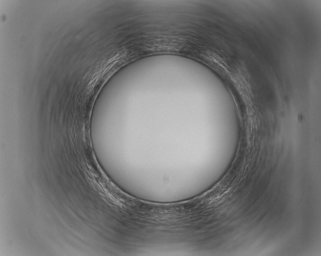 X0000057060729200509090816