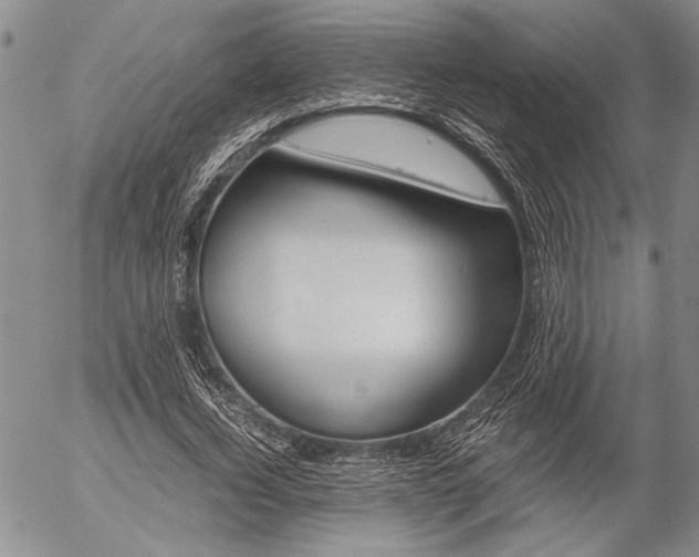 X0000057060732200509090816
