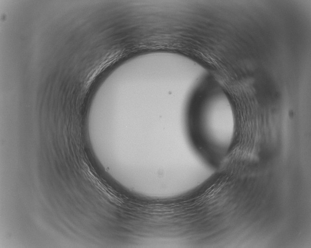 X0000057060735200509090816