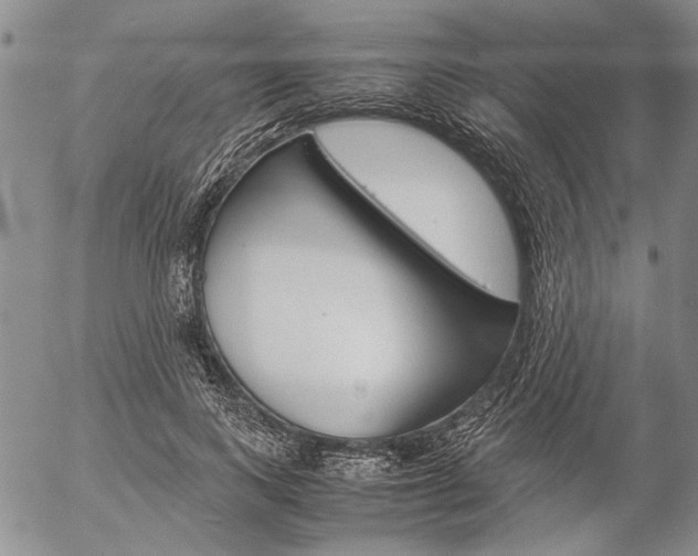 X0000057060743200509090816
