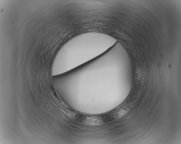 X0000057060753200509090817