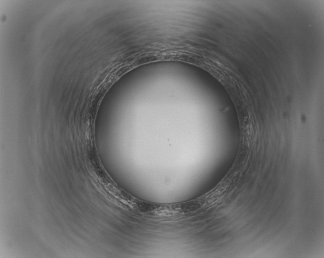 X0000057060756200509090817