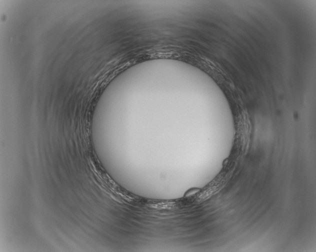 X0000057060761200509090817