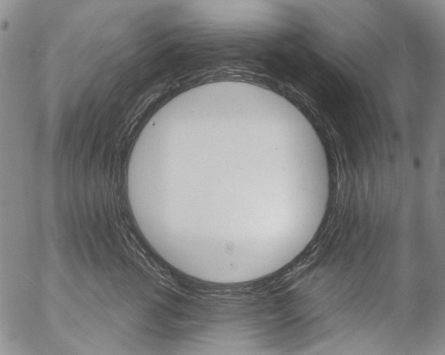 X0000057060762200509090817