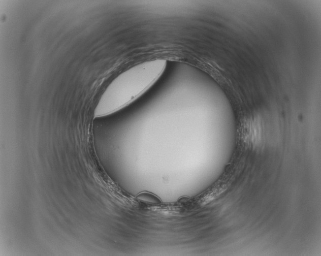 X0000057060763200509090817