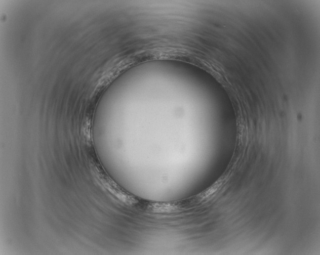 X0000057060766200509090817