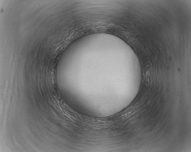 X0000057060772200509090816