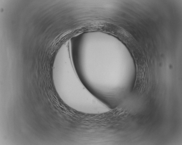 X0000057060773200509090816