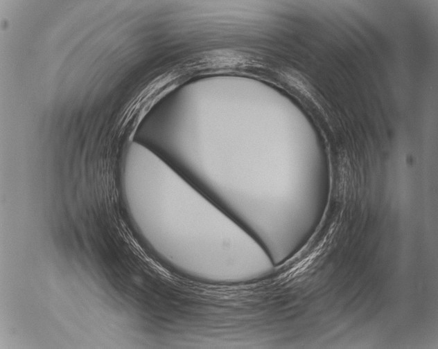 X0000057060778200509090816