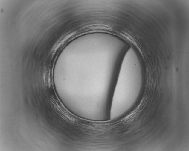 X0000057060782200509090816