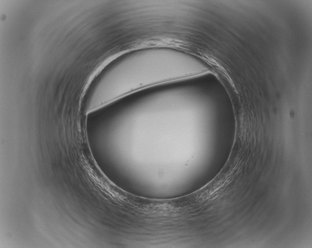 X0000057060784200509090816