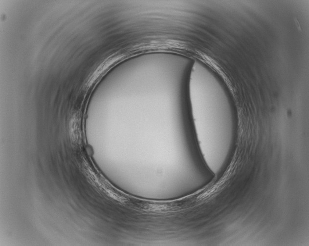 X0000057060794200509090816